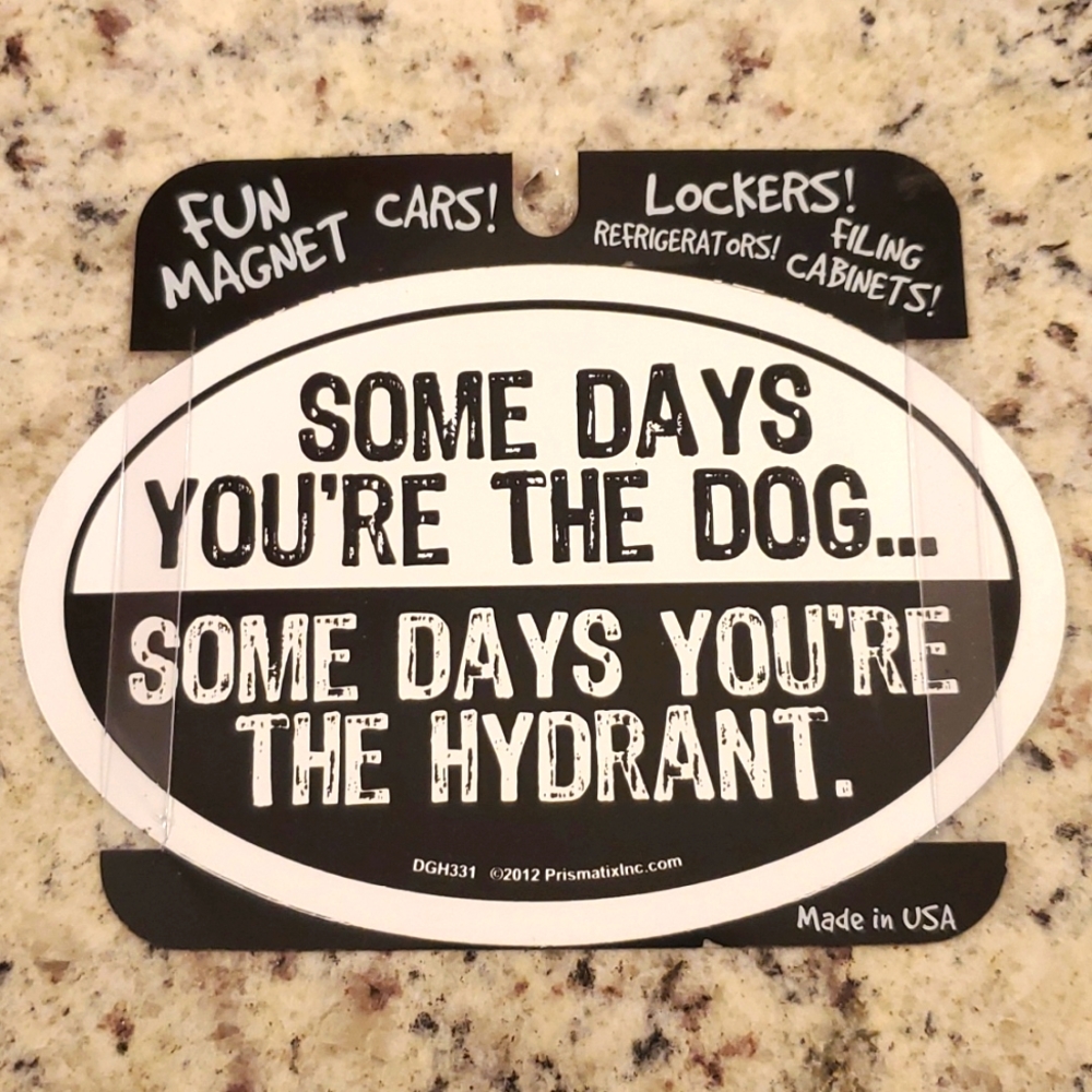 FUN MAGNET PET DECALS